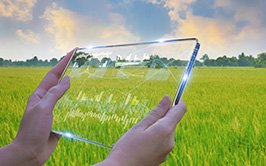 Crop Modeling and Simulation for Agricultural Production Management (CMSAM)