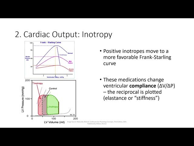 Cardiovascular Keyword Review