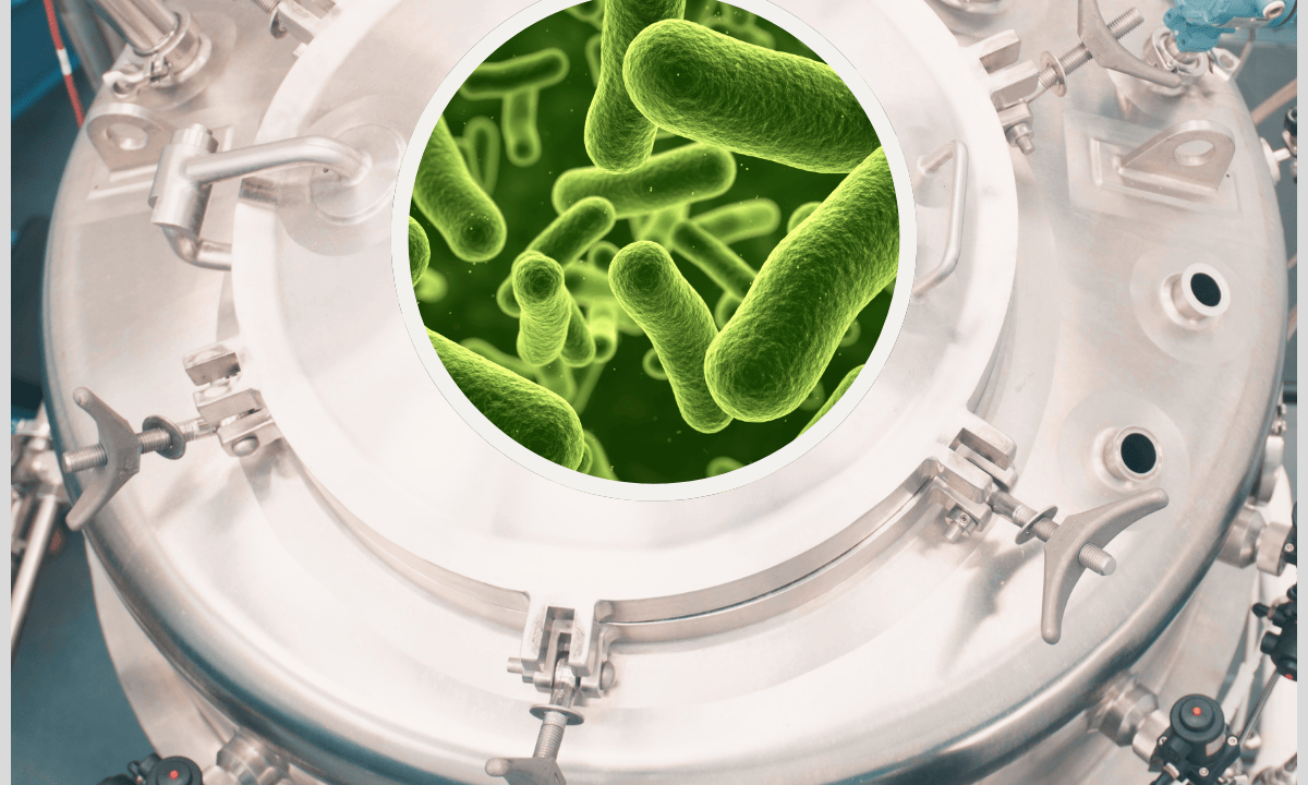 Industrial Biomanufacturing: From Cells to Products