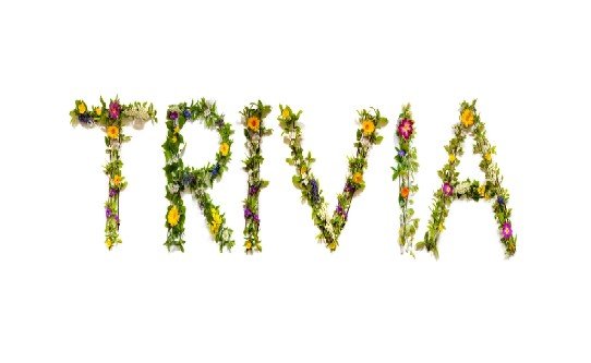 Virtual Trivia: It's Spring! (Team Building)