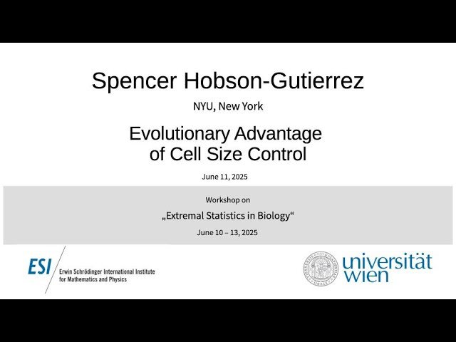 Evolutionary Advantage of Cell Size Control