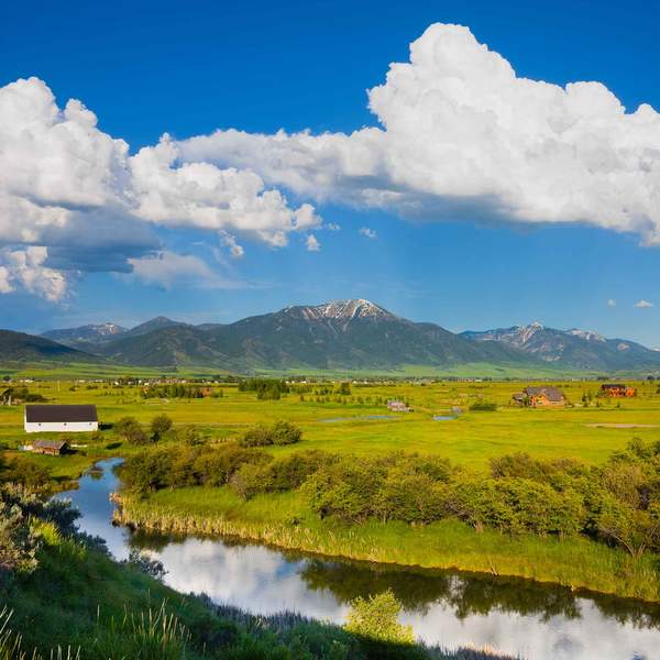 Wines of Idaho and British Columbia (Live Online)