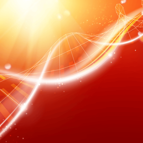 Synaptic Pharmacology