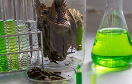 Pharmacognosy and Phytochemistry