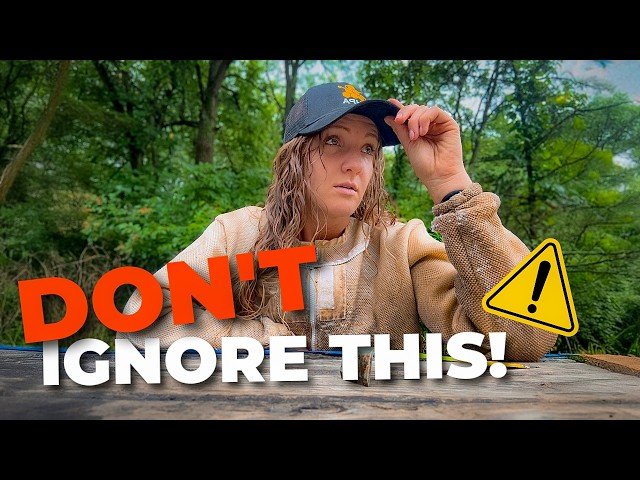 Fall Varroa Mite Management - The Critical Mistake That Kills Thousands of Bee Colonies