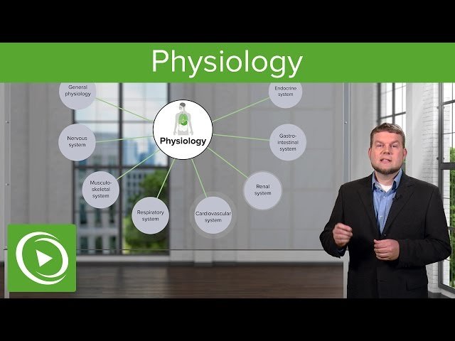 Physiology - USMLE Prep Videos