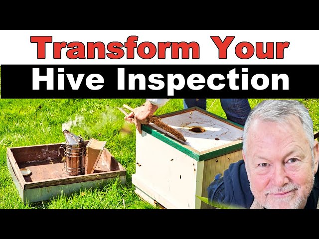 Bee Biology for Effective Hive Inspections