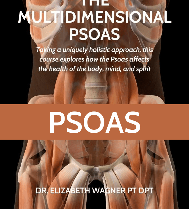 The Vital Psoas