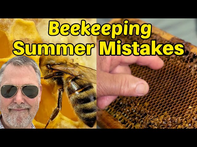 Beekeeping's Top 10 Big Time Summer Mistakes
