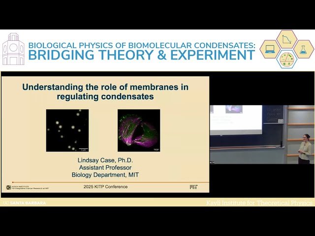 Understanding the Role of Membranes in Regulating Condensates