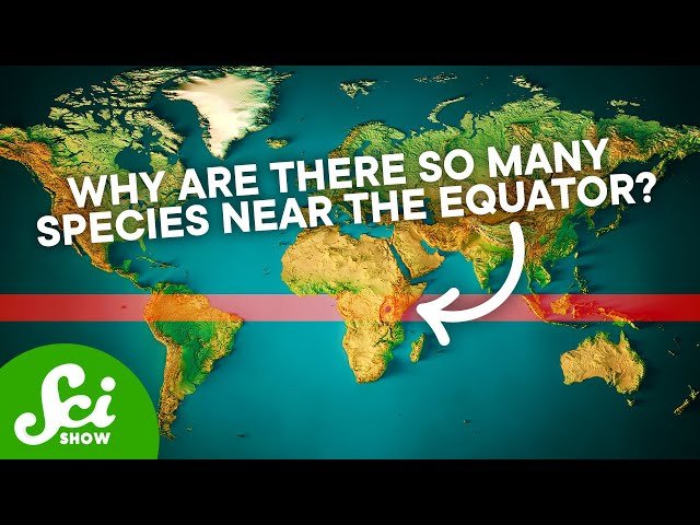 The Biggest Mysteries Science Still Hasn't Solved - Compilation