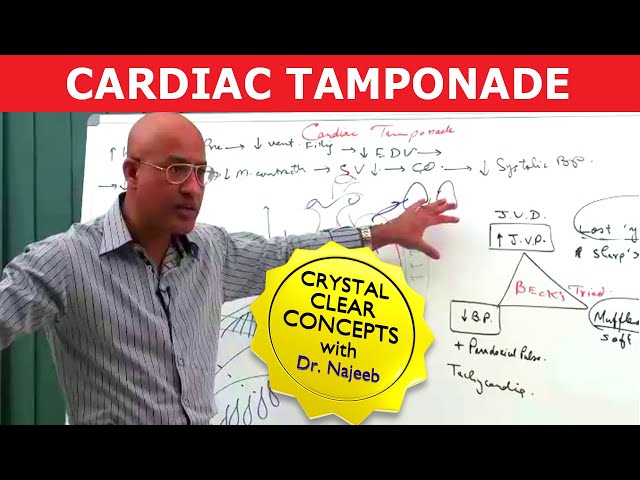 Cardiac Physiology - Comprehensive Course