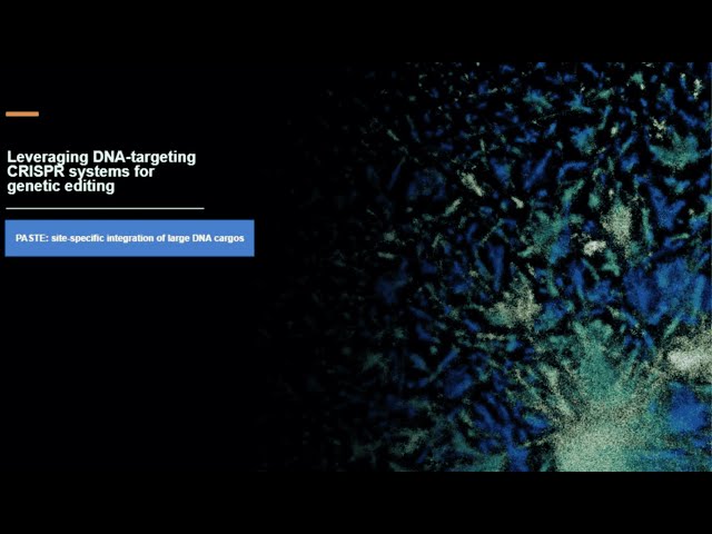 Leveraging Natural Systems for Large Genomic Insertions in Mammalian Cells