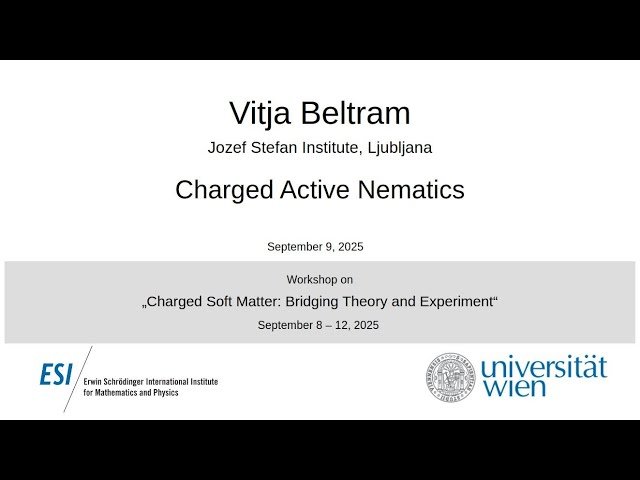 Charged Active Nematics