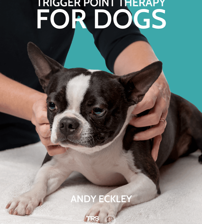 Trigger Point Therapy for Dogs