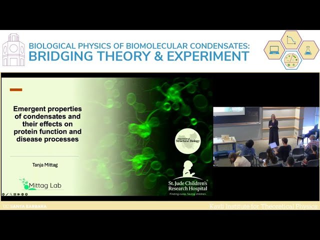 Emergent Properties of Condensates and Their Effects on Protein Function and Disease Processes