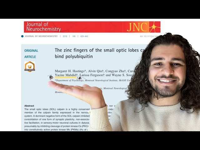 Guide to Scientific Research in Undergraduate Studies - From Lab Selection to Success