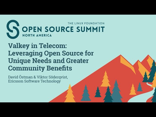 Valkey in Telecom - Leveraging Open Source for Unique Needs and Greater Community Benefits