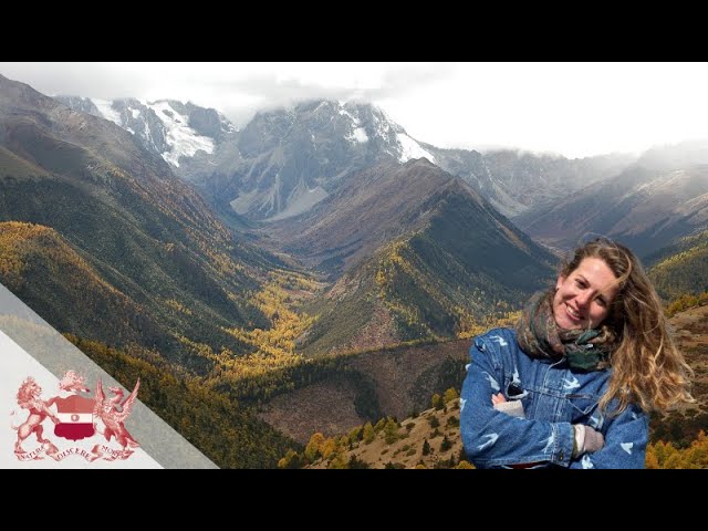 Being Tree-ish - Notes on The Genius of Trees