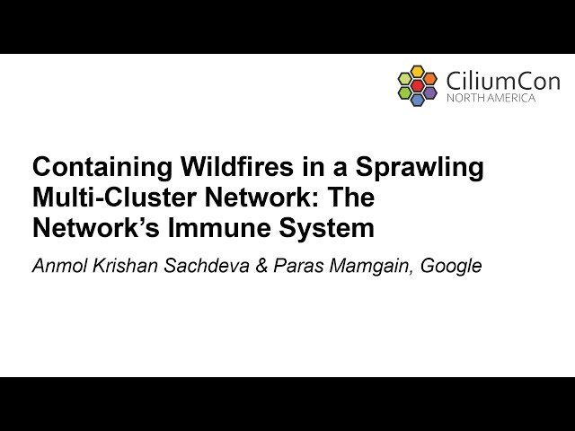Containing Wildfires in a Sprawling Multi-Cluster Network - The Network's Immune System