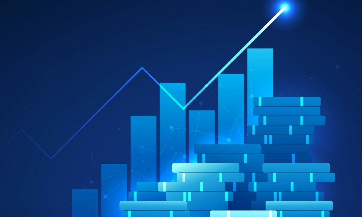 Advanced Credit Risk Modeling - IT Sector