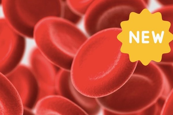 SACE Stage 2 Biology - Cells as the Basis of Life