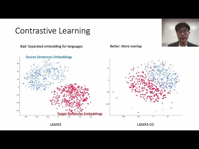 Multilingual Representation Distillation with Contrastive Learning