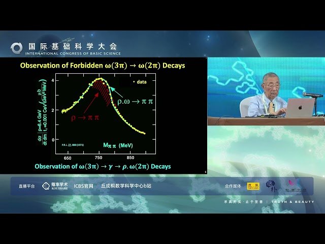 The November Revolution and Fifty Years of Electron and Positron Physics