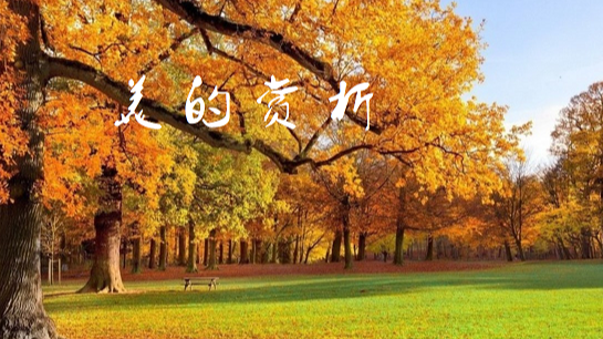 美的赏析（终身教育版）