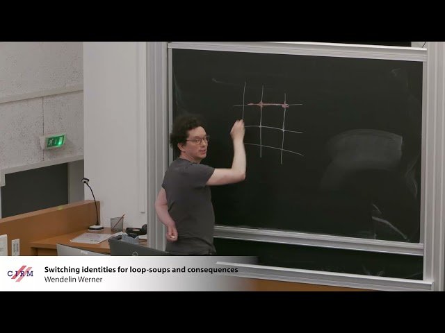 Switching Identities for Loop-Soups and Consequences