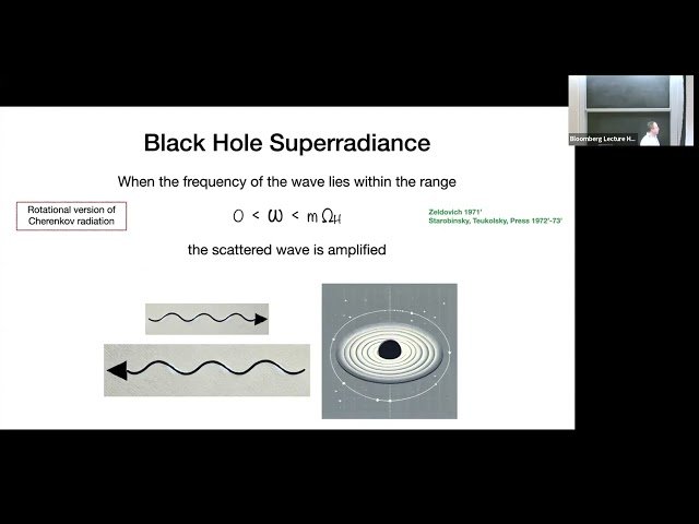 Quantum Criticality in Black Hole Scattering