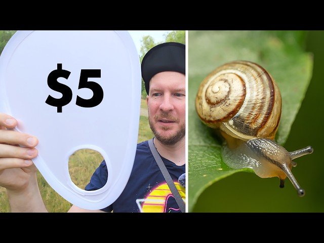 Testing a $5 Macro Photography Diffuser from AliExpress