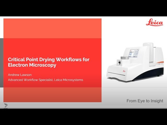 Critical Point Drying Workflows for Electron Microscopy
