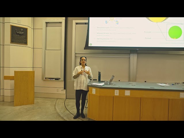 Nuclear Fusion: Understanding Fundamentals, Fuels, and Reactor Technologies