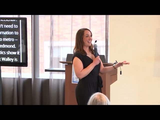 Multisolving in Transportation