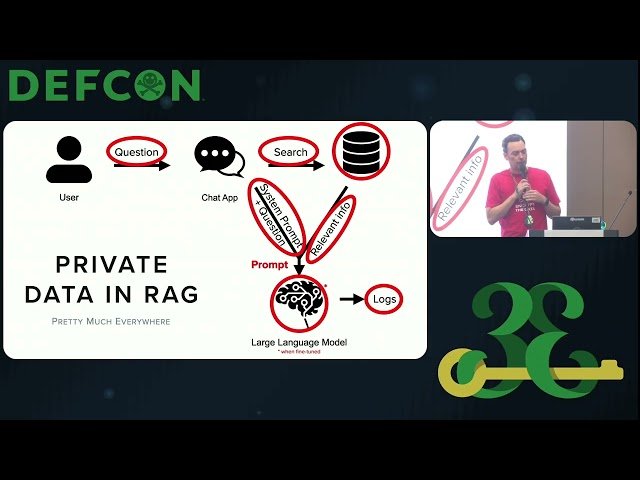 Exploiting Shadow Data from AI Models and Embeddings