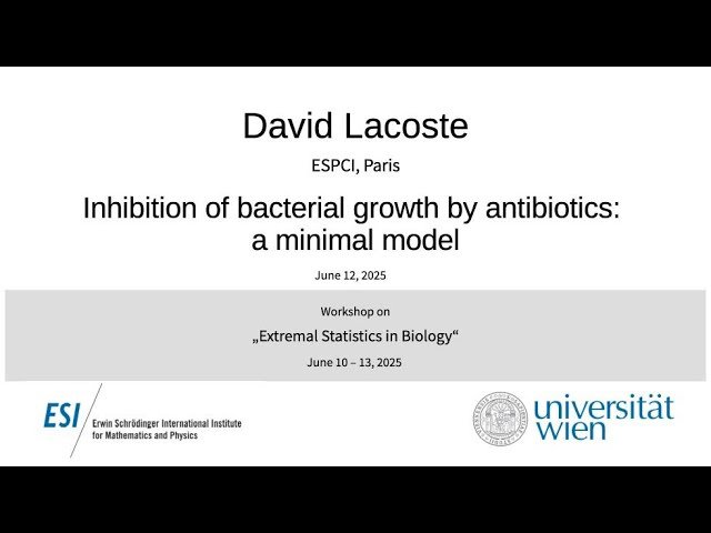 Inhibition of Bacterial Growth by Antibiotics - A Minimal Model