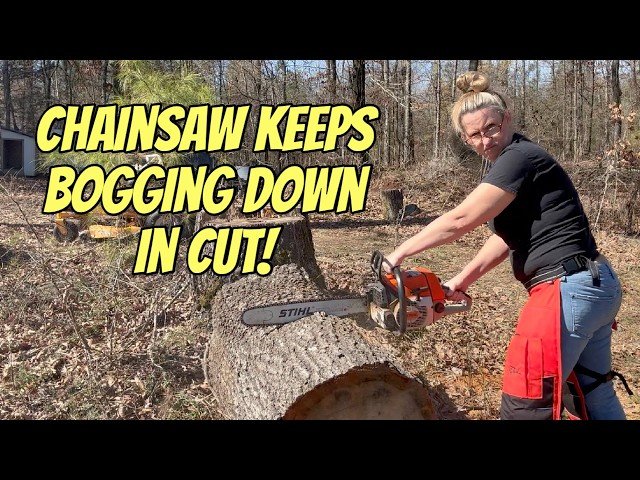 From Bogging Out to BEAST Mode - Diagnosing Your Chainsaw That Can't Make The Cut - STIHL 034AV Repair