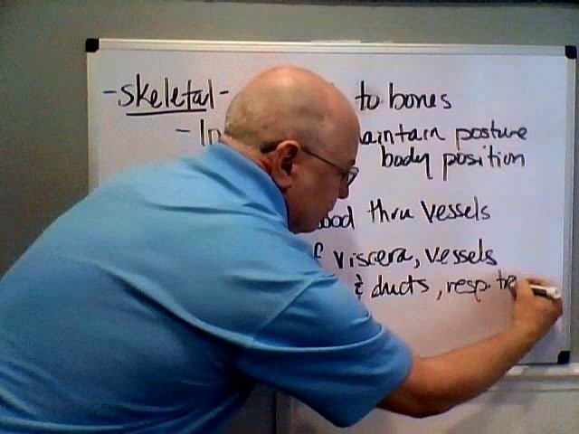 Anatomy and Physiology I - Muscle Tissue Structure and Function - Test 4 Videos