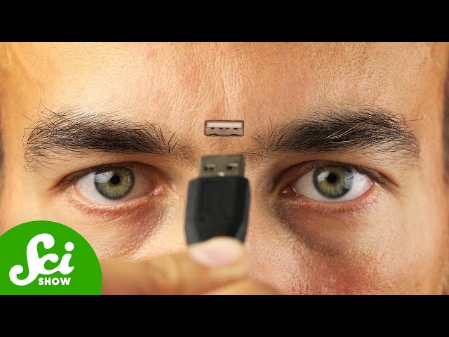 How Much Information Can a Human Head Hold?