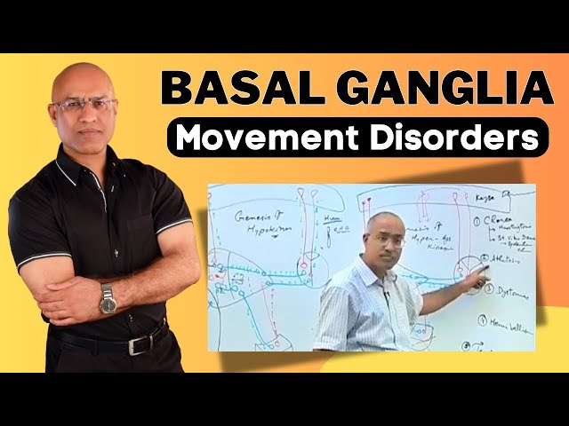Basal Ganglia and Movement Disorders in Neurology