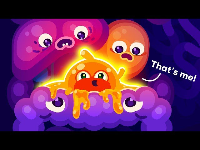 Let's Talk About Fat - Understanding the Complex Organ That Controls Hormones and Health