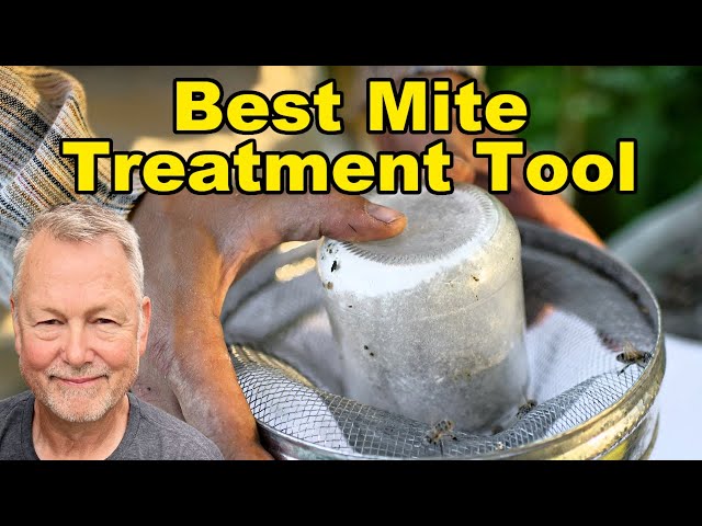 Beekeeping: How to Choose the Best Mite Treatment - Step-by-Step Trusted Tool