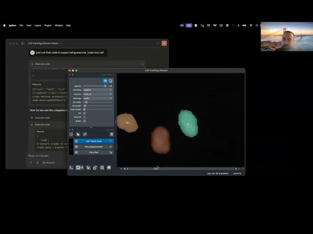 Napari-MCP - An MCP Server for Agentic Remote Control of Napari