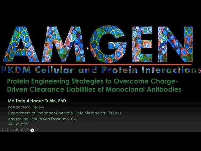 Protein Engineering Strategies to Overcome Charge-Driven Clearance Liabilities of Monoclonal Antibodies