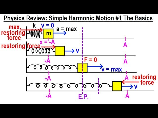 Simple Harmonic Motion Review