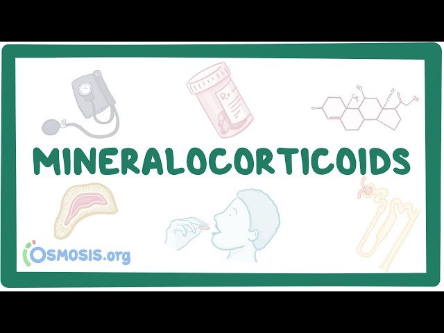 Mineralocorticoids and Mineralocorticoid Antagonists - Pharmacology