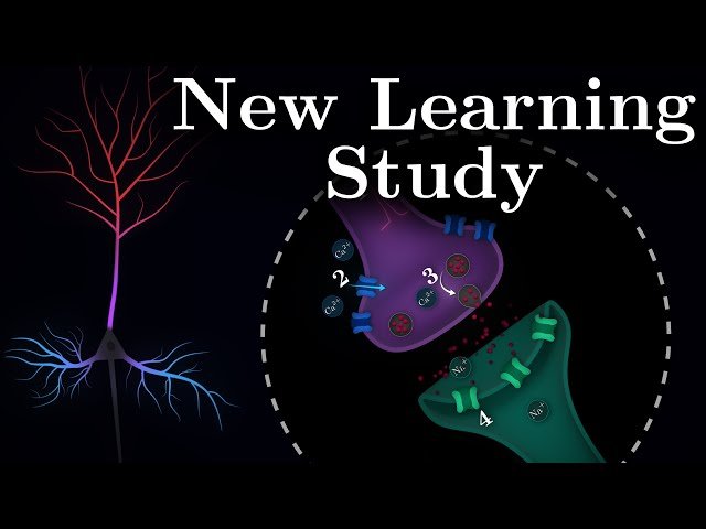 Why Different Neuron Parts Learn Differently - Compartmentalized Plasticity in Pyramidal Neurons