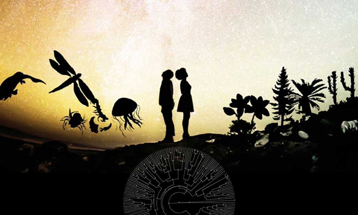 Life on Earth: Diversification and Extinctions