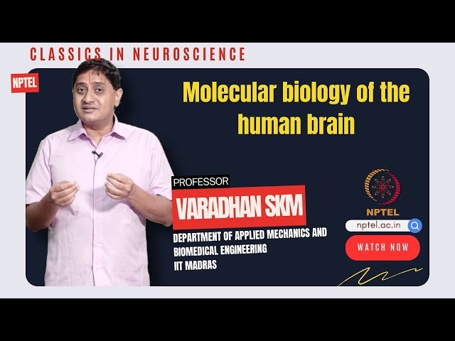 Molecular Biology of the Human Brain